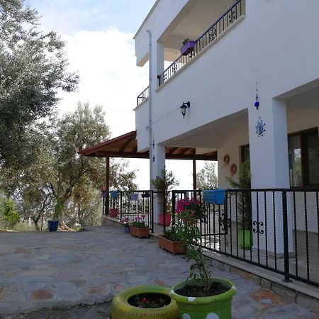 Bed and Breakfast Kaymak Tepesi Tatil Evi Küçükkuyu Exterior foto