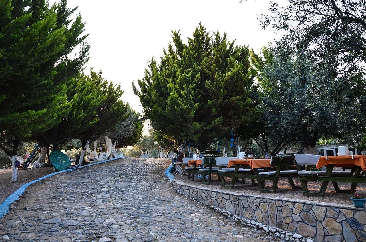 Bed and Breakfast Kaymak Tepesi Tatil Evi Küçükkuyu Exterior foto