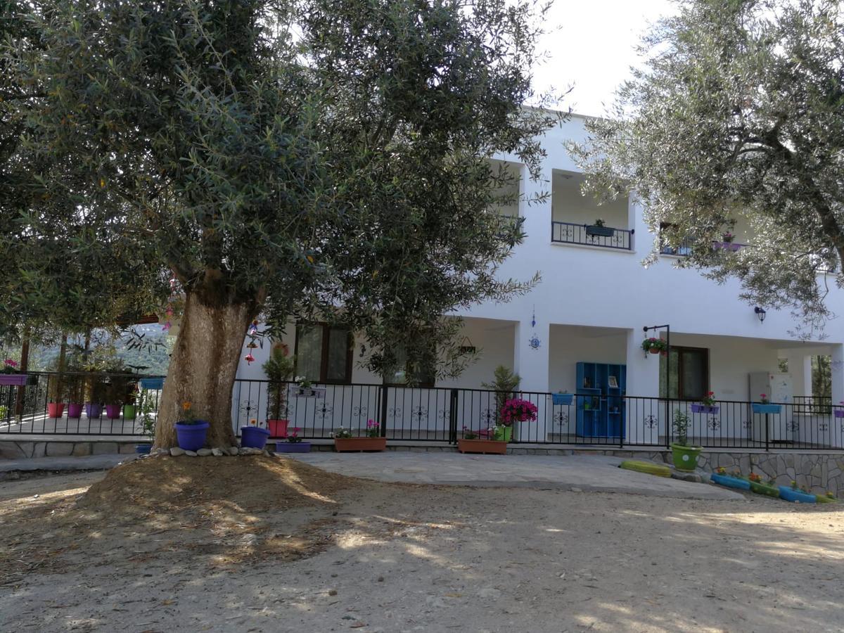 Bed and Breakfast Kaymak Tepesi Tatil Evi Küçükkuyu Exterior foto