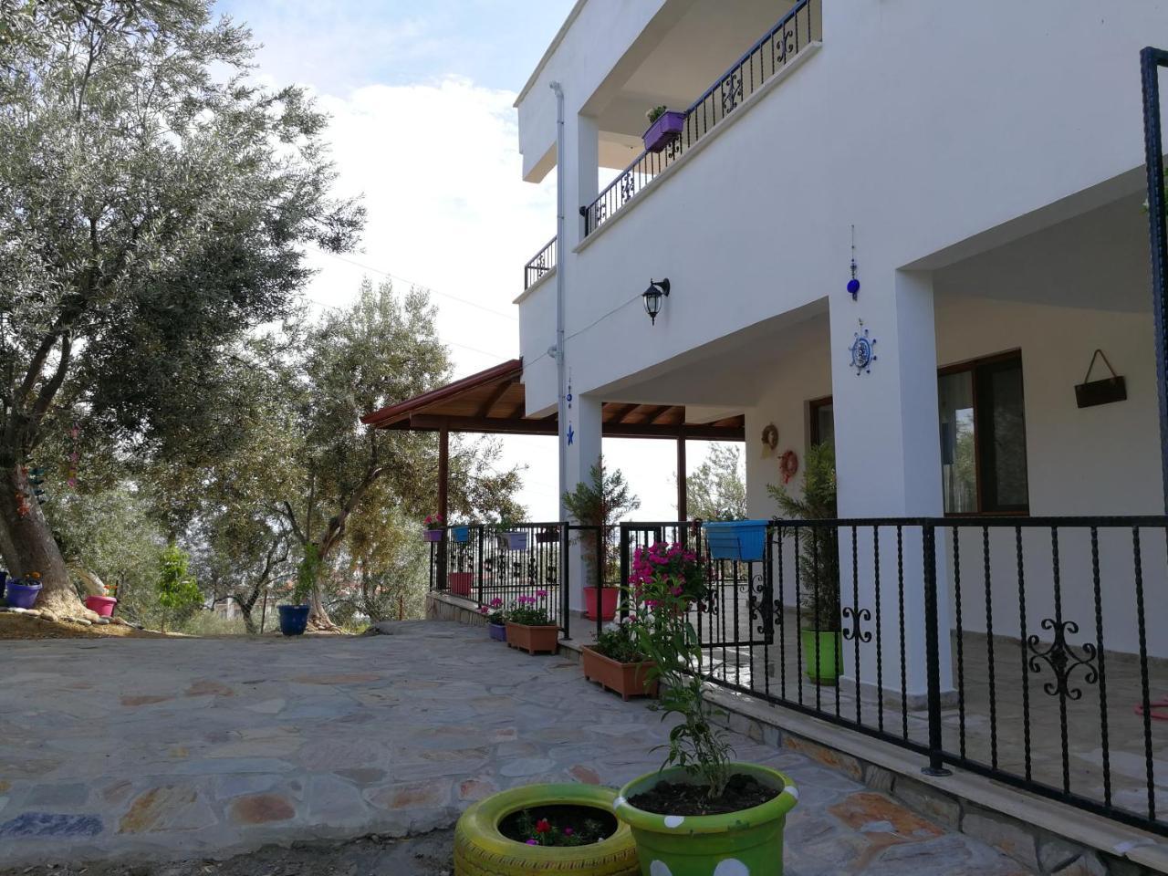 Bed and Breakfast Kaymak Tepesi Tatil Evi Küçükkuyu Exterior foto